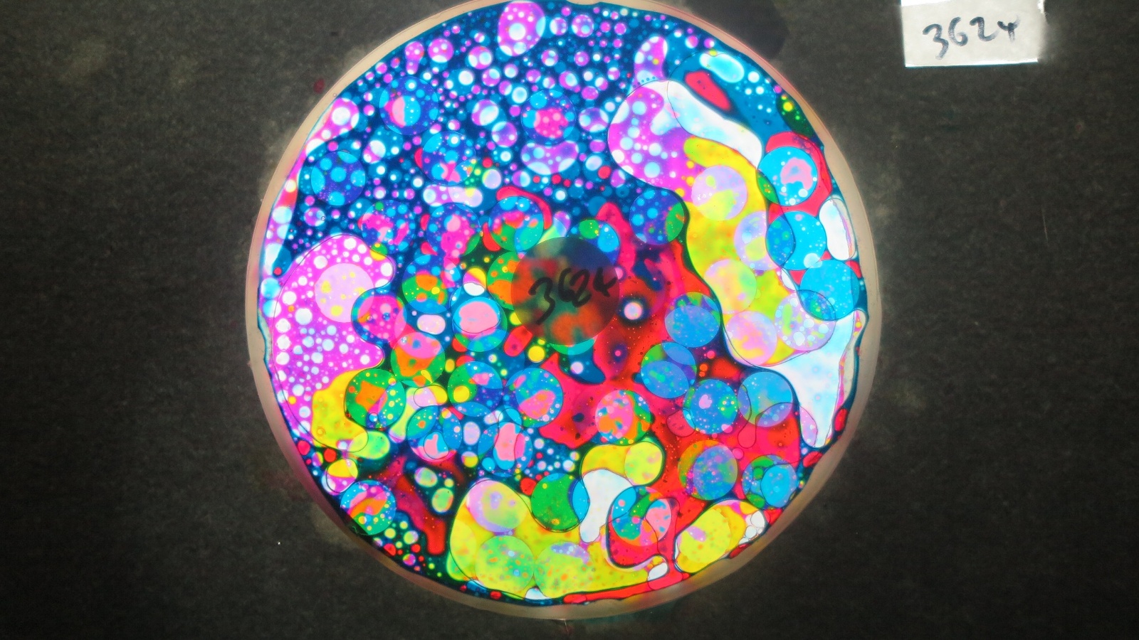 BV3624 bubble vision oil wheel